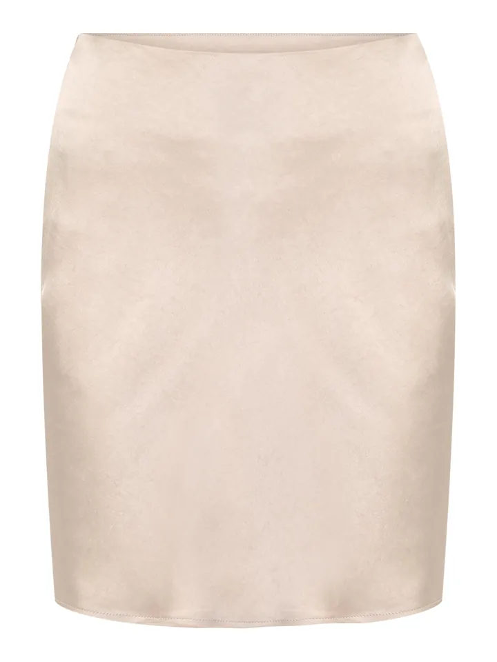 Nasty Gal Petite Falda piel