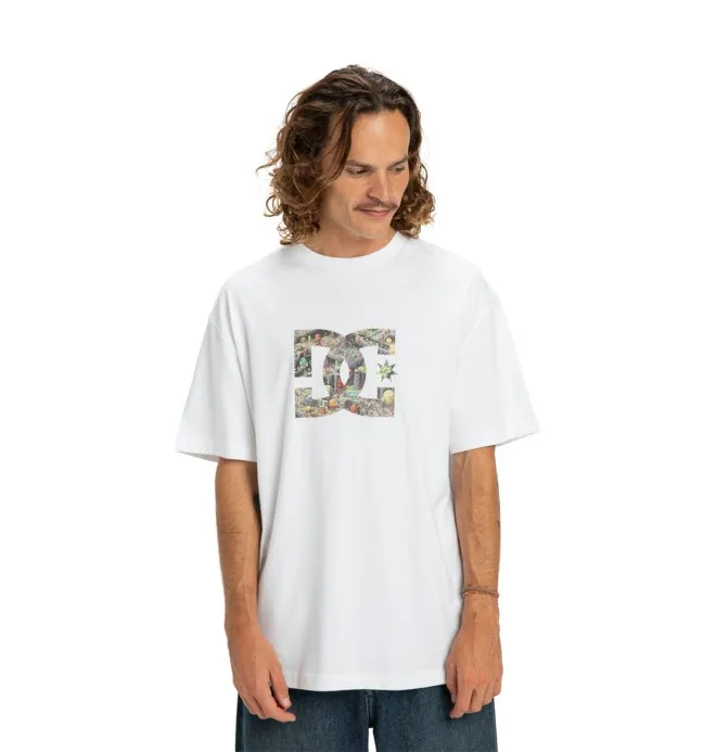 DC Star Filled - Camiseta de manga corta Blanco hombre