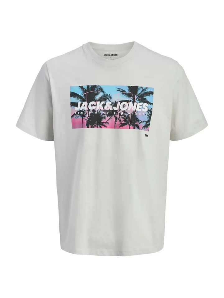 JACK & JONES Camiseta 'JJINDIANA' azul claro / gris claro / rosa claro / negro