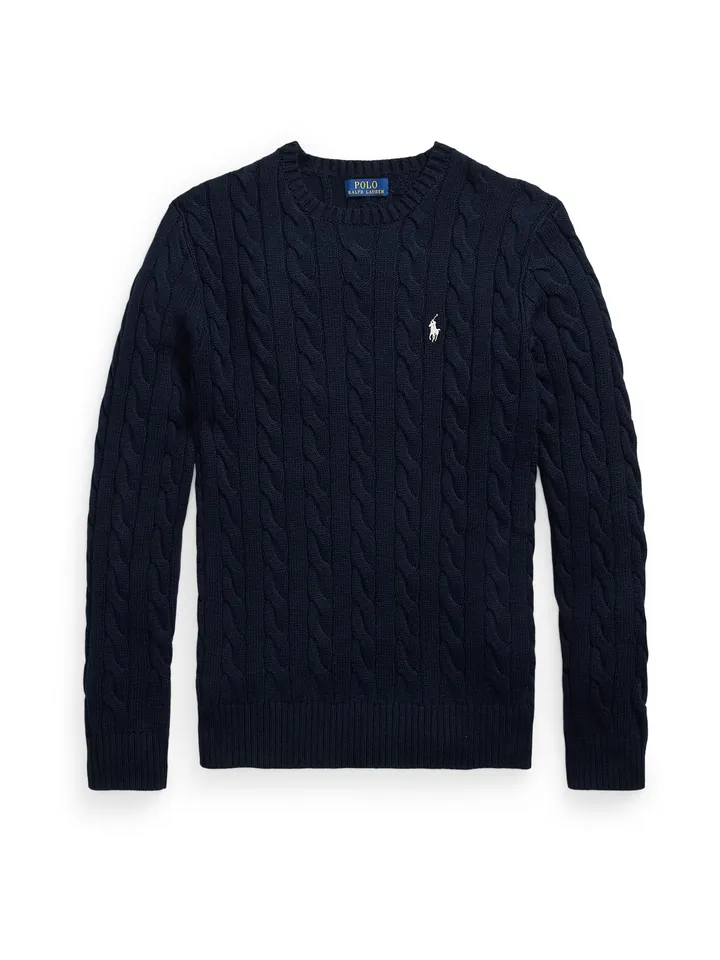 Polo Ralph Lauren Jersey 'DRIVER'  navy