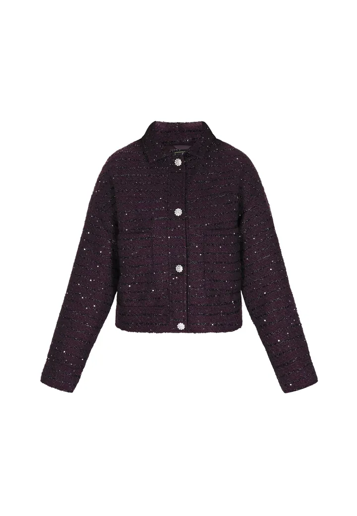 faina Chaqueta de entretiempo  berenjena / negro / plata