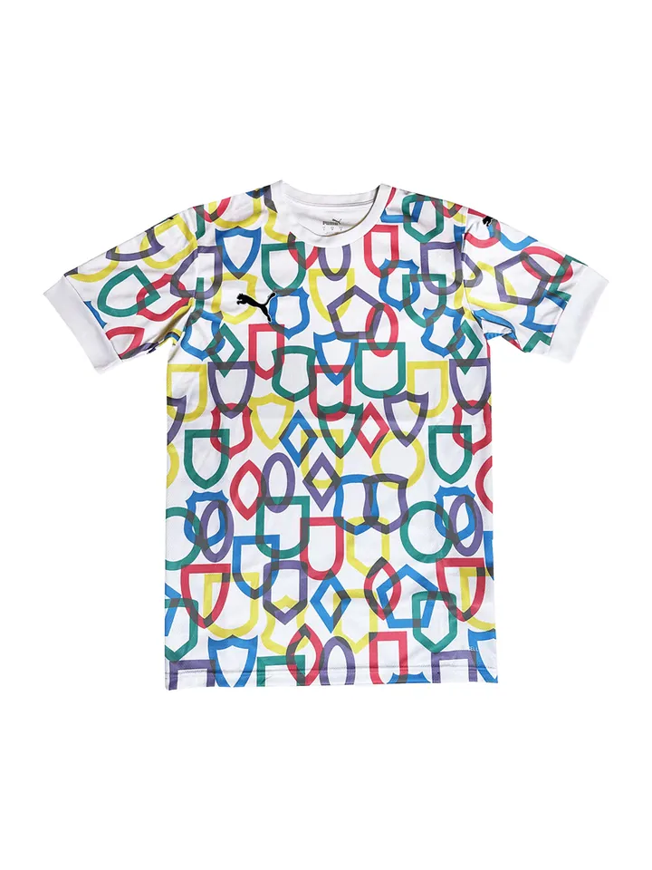 PUMA Camiseta funcional  azul / verde / rojo / blanco