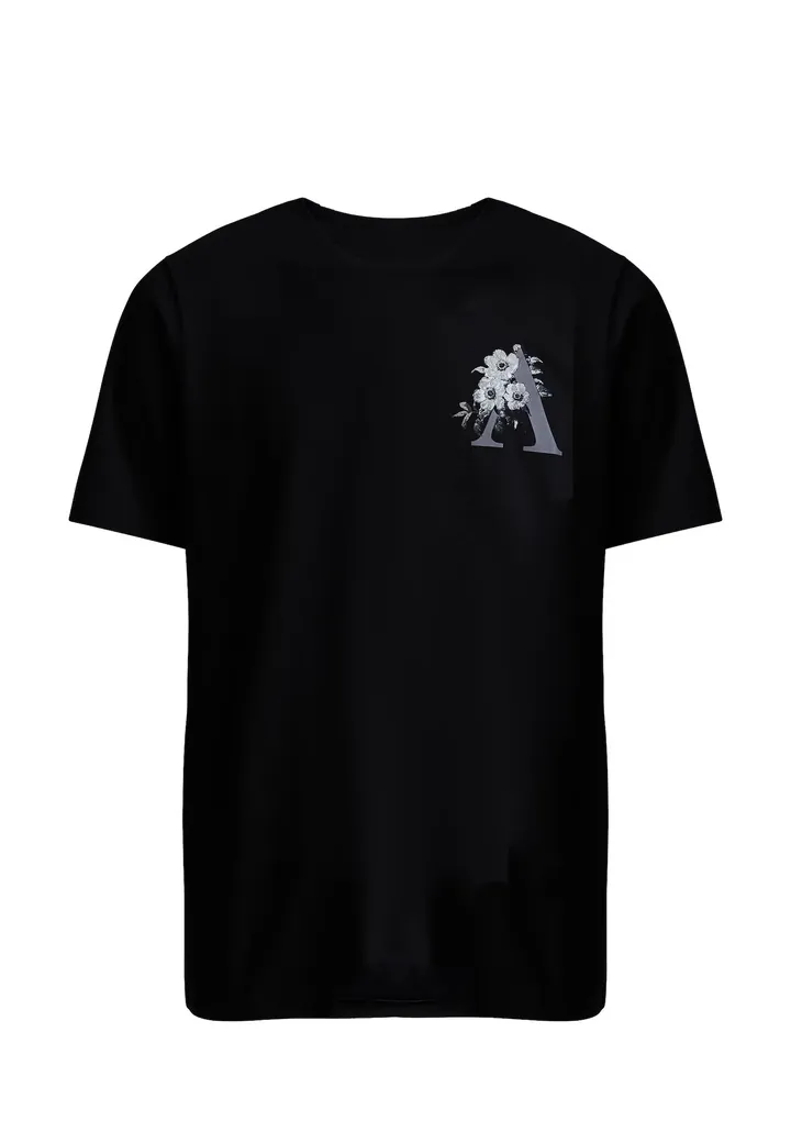 Alessandro Zavetti Camiseta 'Pentolo' gris claro / pino / negro