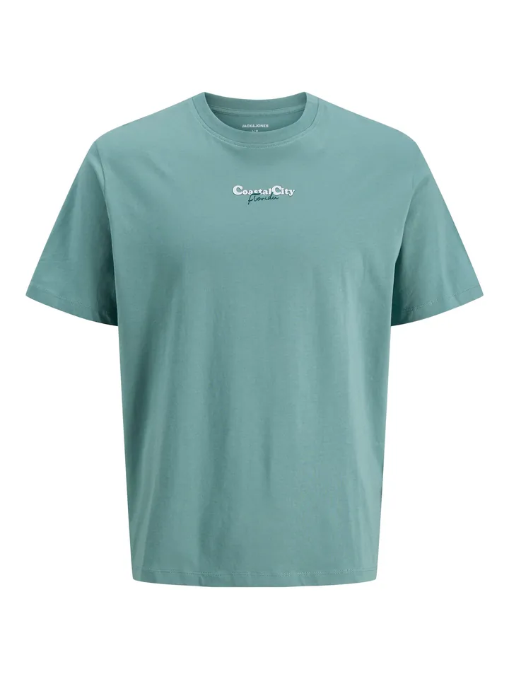 JACK & JONES Camiseta 'JJCity' aqua / azul claro / verde / blanco
