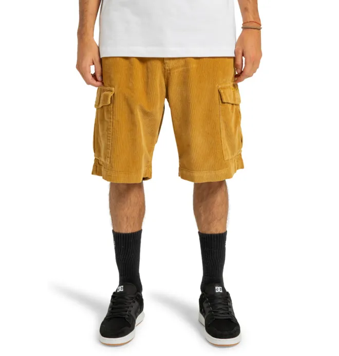 Pipeline 22.5" - Short cargo Marrón Hombre
