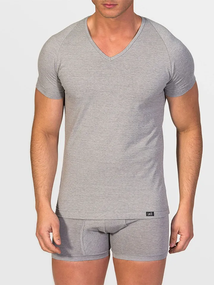 zd ZERO DEFECTS Camiseta térmica 'V-Neck T-Shirt Egiptian Cotton' gris