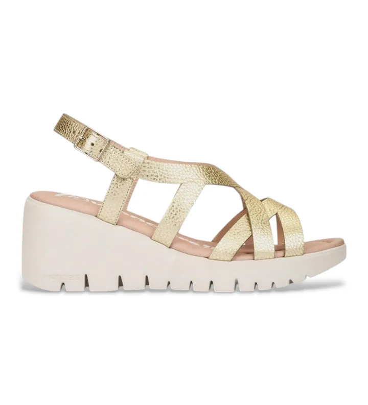 Wonders para mujer. D-2201_5432_7285 Sandalias de Piel April 01 dorado (41), 5 a 8cm, Hebilla, Casual