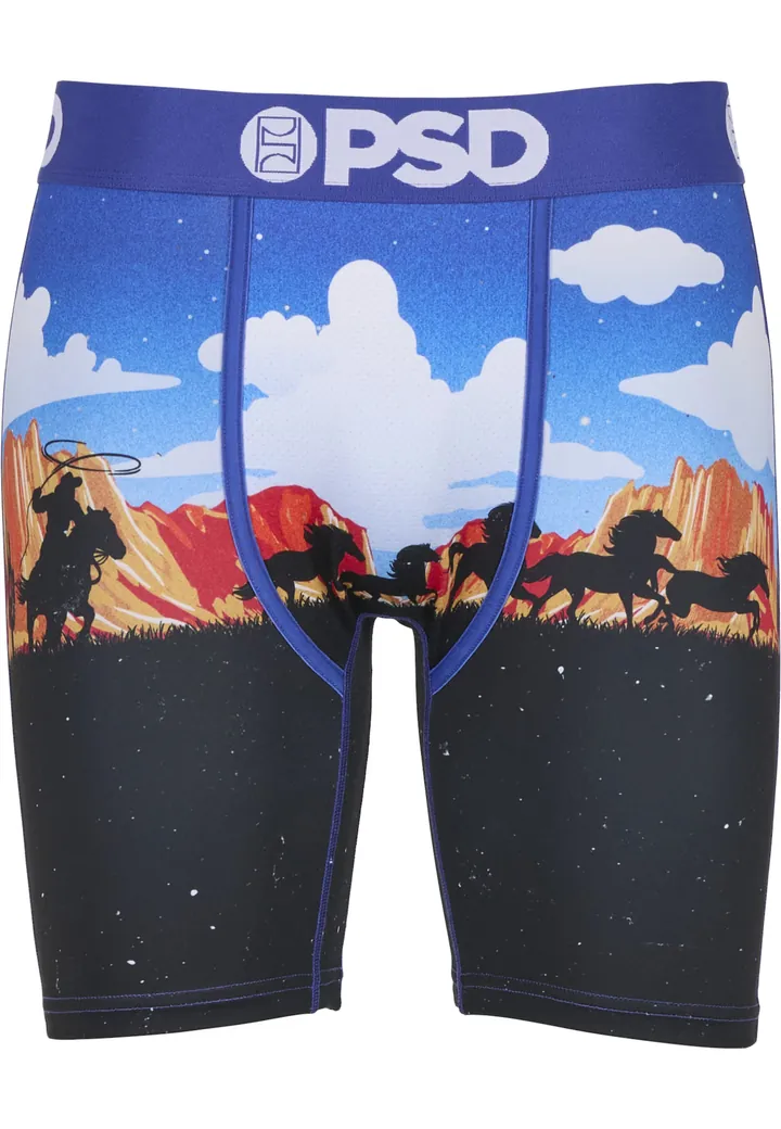PSD Calzoncillo boxer 'ACE HIGH' mezcla de colores