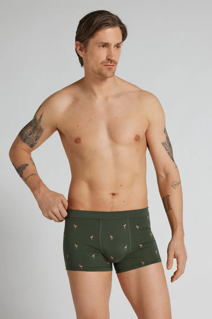 Intimissimi Bóxer de Algodón Superior con Estampado Flamencos Hombre Verde Tamaño 38