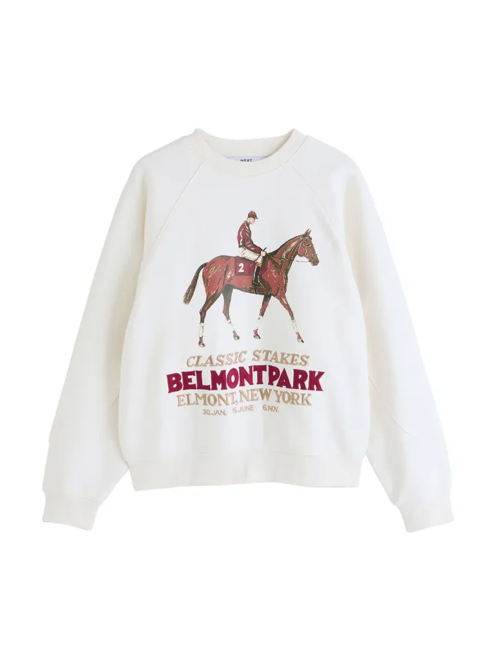 Next Sudadera ecru / marrón / burdeos