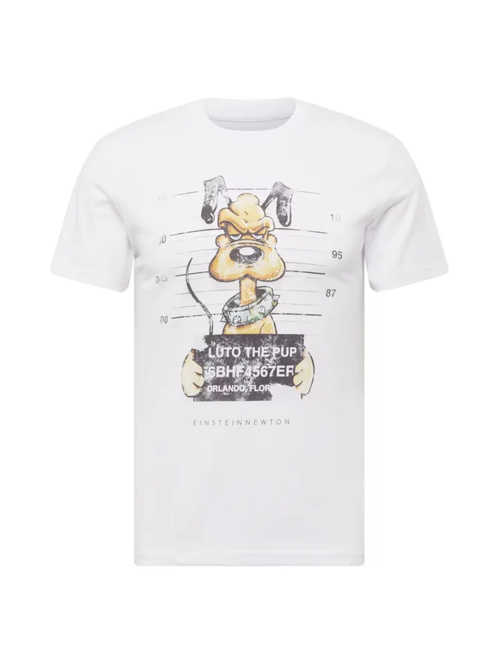 EINSTEIN & NEWTON Camiseta cognac / gris claro / verde hierba / negro / blanco