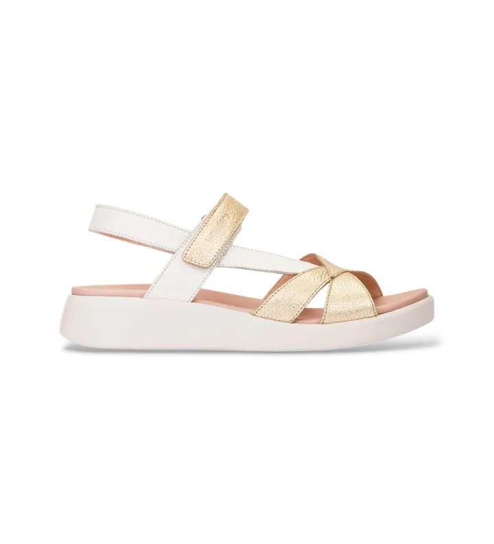 Wonders para mujer. C-6552 Sandalias cruzadas multicolor dorado (36), Piel, Plano, Velcro, Casual
