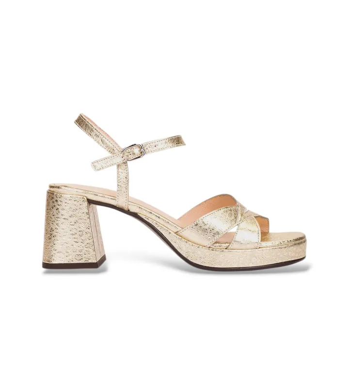 Wonders para mujer. G-6820 Sandalias de Piel Zaida20 dorado (36), 5 a 8cm, Hebilla, Casual, Fiesta, Oro