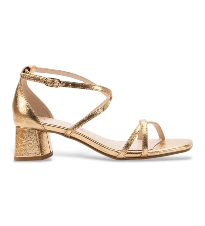 Martinelli para mujer. S051-B431RY Sandalias de Piel Vettabbia dorado (36), 5 a 8cm, Hebilla, Casual, Clásico